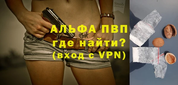 шишки Баксан