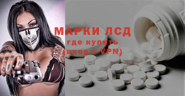 шишки Баксан