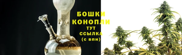 шишки Баксан
