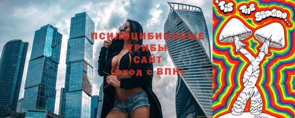шишки Баксан
