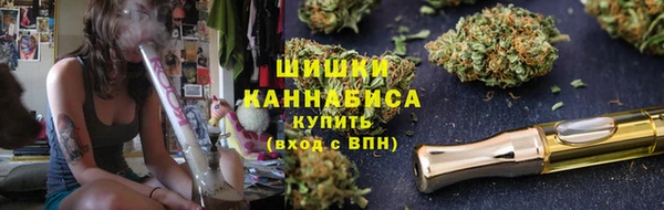 шишки Баксан