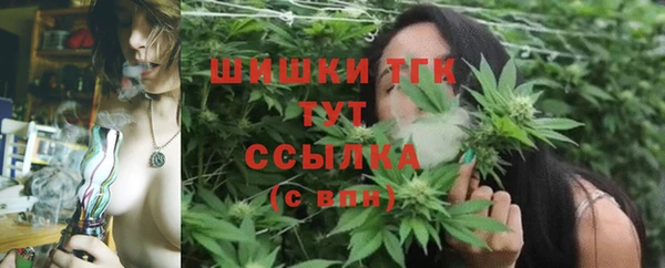 шишки Баксан