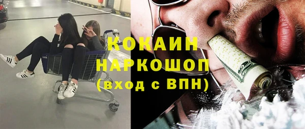 шишки Баксан