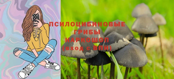 шишки Баксан