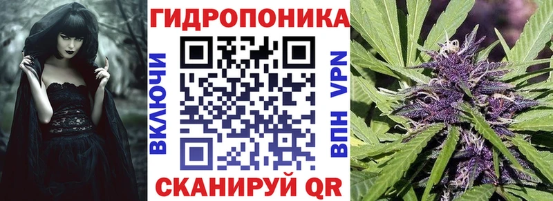 наркота  Коммунар  Бошки Шишки сатива 